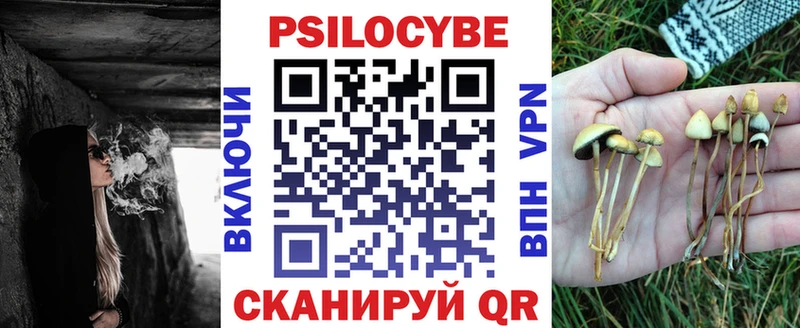 где продают   Лебедянь  Галлюциногенные грибы мицелий 